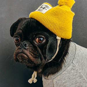 customer profile picture